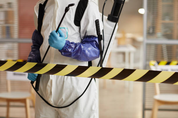 Professional Sewage Cleanup technician working in Tollhouse, CA